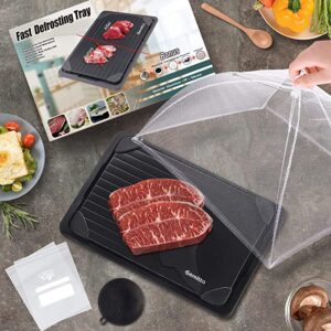 Alternative view of Thớt rã đông thực phẩm Gemitto – Fast Defrosting Tray – nội địa Đức